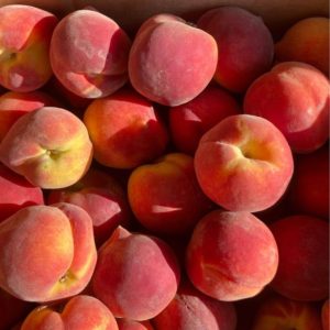 Fredericksburg Peaches in box